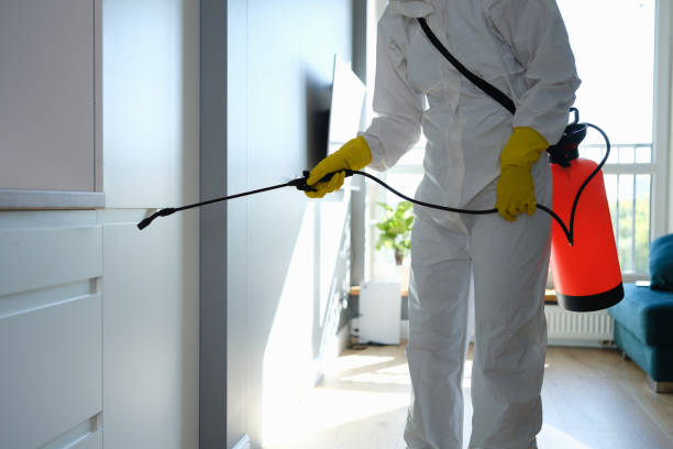 Mold Removal for HVAC Installations in Solana Beach, CA